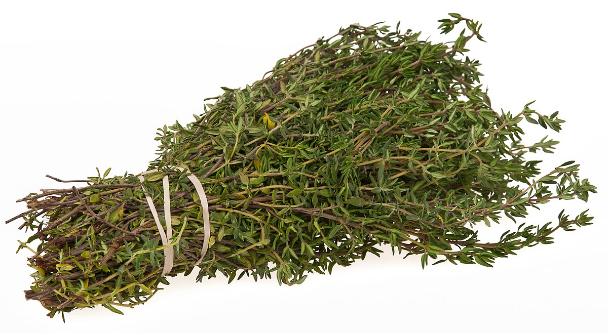 https://upload.wikimedia.org/wikipedia/commons/thumb/e/ea/Thyme-Bundle.jpg/1200px-Thyme-Bundle.jpg
