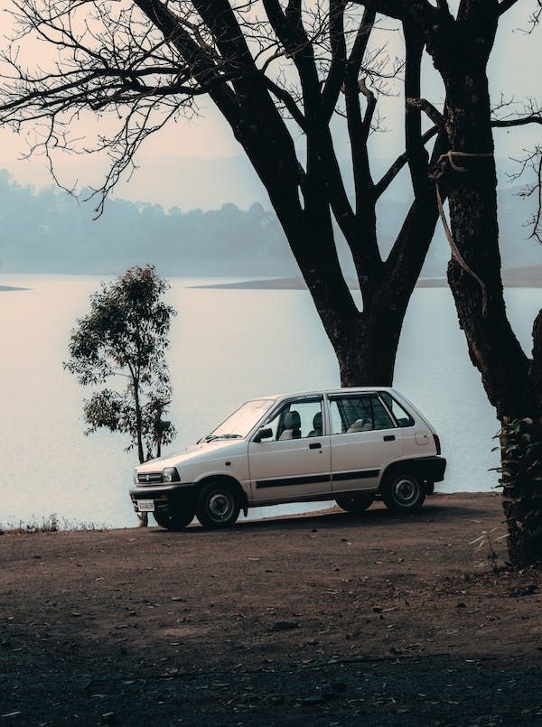 maruti 800